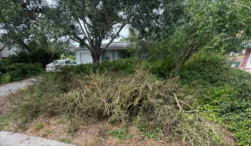 Front yard covered in piles of cut brush and branches before cleanup